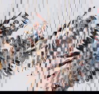 Pulse Perspectives - New South Wales Tourism 