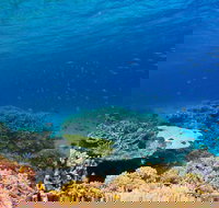 Recovery of the Great Barrier Reef - New South Wales Tourism 