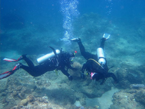 Recovery Of The Great Barrier Reef - New South Wales Tourism  1