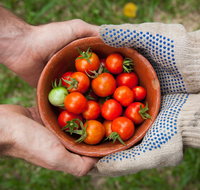 Riverina Producers Market - New South Wales Tourism 