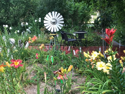 Riverina Iris Farm Open Garden And Iris Display - New South Wales Tourism  2