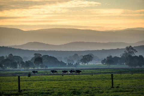 Rotary Club Of Maffra Community Market - New South Wales Tourism  0