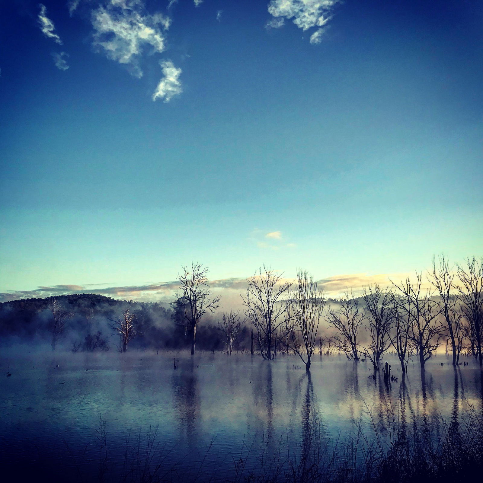 Roadvale QLD New South Wales Tourism