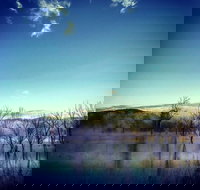 Scenic Rim Ultra - New South Wales Tourism 