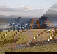 Sculpture Bermagui - New South Wales Tourism 