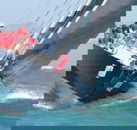 SeaLink Magnetic Island Race Week - New South Wales Tourism 