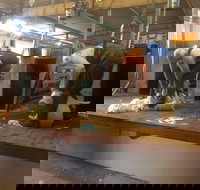 Sheep Shearing Farm Tour - New South Wales Tourism 