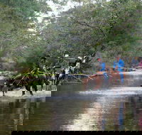 The Man From Snowy River Bush Festival - New South Wales Tourism 