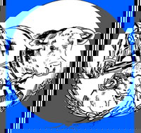 The Manildra Show - New South Wales Tourism 