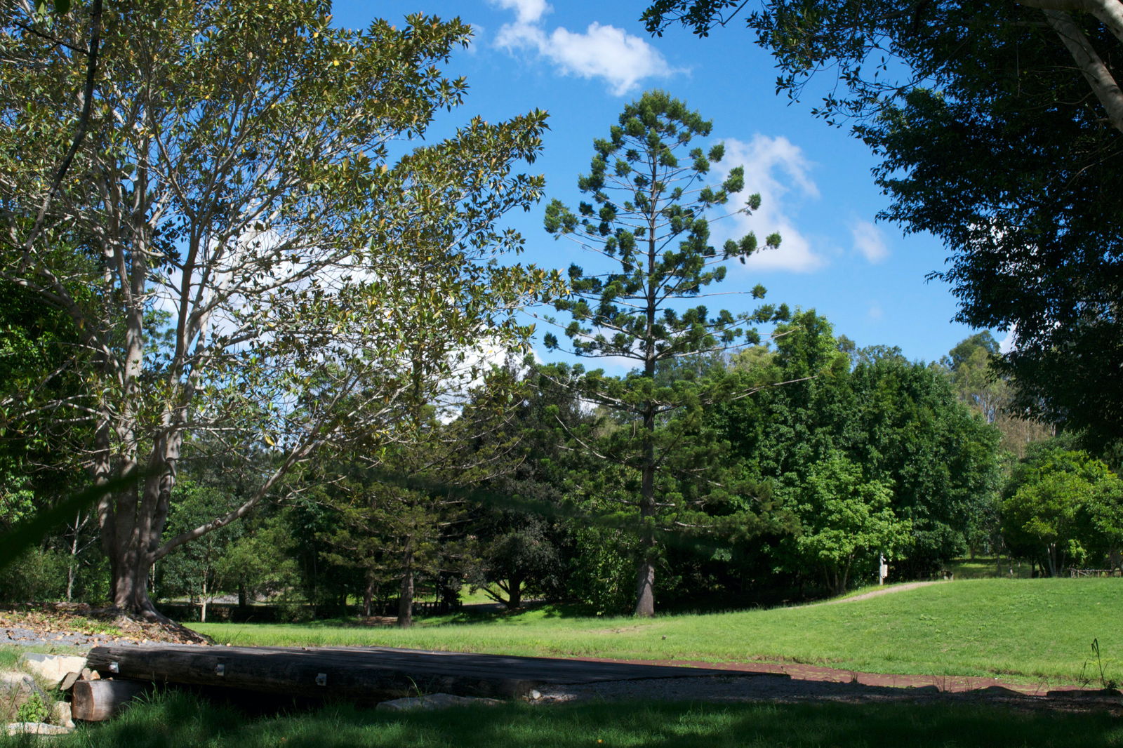 Mount Archer QLD New South Wales Tourism 