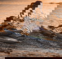 The Bay Games - Jervis Bay - New South Wales Tourism 