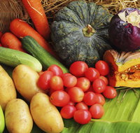 The Entrance Market - New South Wales Tourism 