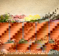 Tumbarumba Spring Flower Festival - New South Wales Tourism 