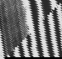 WA Now  Tom Mller Monolith Scores - New South Wales Tourism 