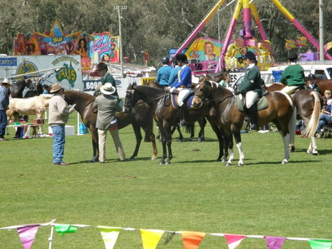 Wangaratta Show - New South Wales Tourism  0