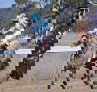 Wean Picnic Races - New South Wales Tourism 
