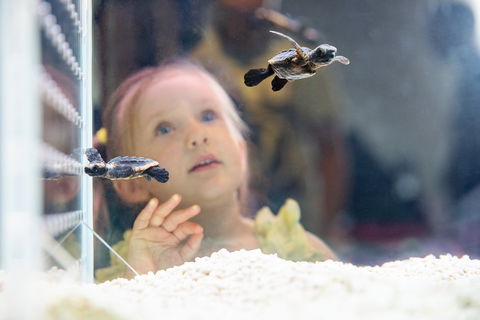 World Science Festival Brisbane - New South Wales Tourism  2