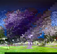 Adelaide Parklands Art Prize  Finalists Exhibition  Sale 2020 - New South Wales Tourism 