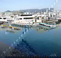 Airlie Beach parkrun - New South Wales Tourism 
