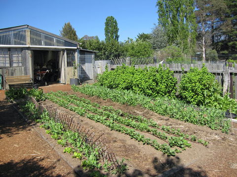 All Season Cold Climate Organic Vegetable Growing - New South Wales Tourism  1
