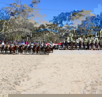 Australian Campdraft Association National Finals Campdraft 2021 - New South Wales Tourism 
