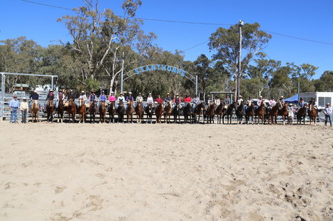 Australian Campdraft Association National Finals Campdraft 2021 - New South Wales Tourism  0