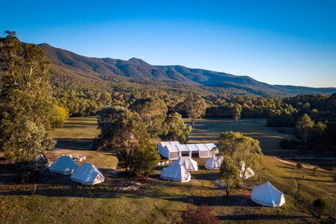 A Wild Night Out - Spring - New South Wales Tourism  5