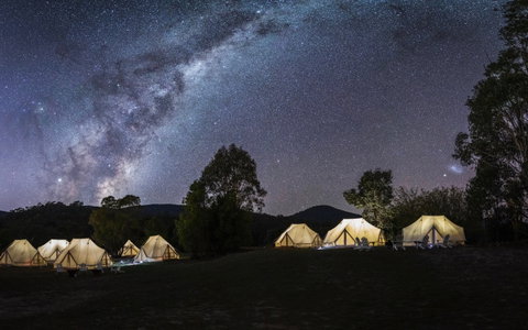 A Wild Night Out - Spring - New South Wales Tourism  6