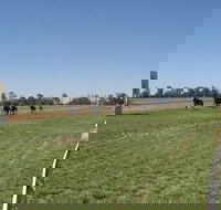 Balranald Races -Derby Day - New South Wales Tourism 