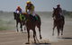 Bedourie Races And Rodeo - thumb 2