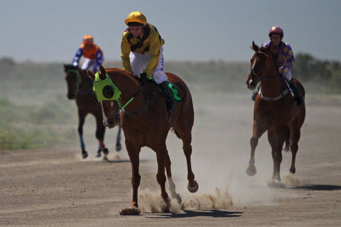 Bedourie Races And Rodeo - New South Wales Tourism  2