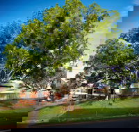 Big Bat Wildlife and Eco Festival - New South Wales Tourism 