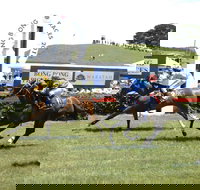 Bong Bong Picnic Races - New South Wales Tourism 