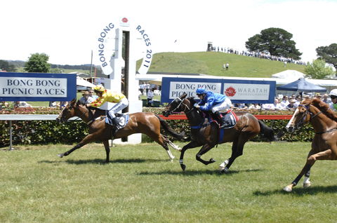 Bong Bong Picnic Races - New South Wales Tourism  0