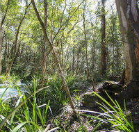 Bottlebutt Bash Trail Run - New South Wales Tourism 