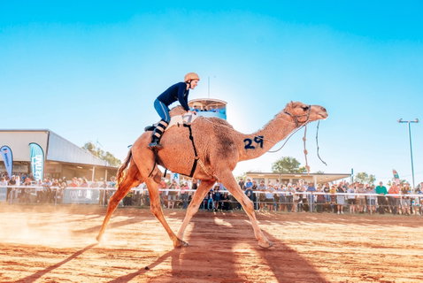 Boulia Camel Races - New South Wales Tourism  0