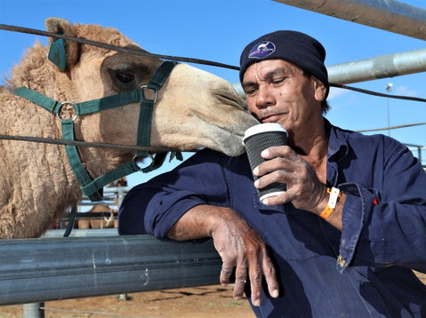 Boulia Camel Races - New South Wales Tourism  2