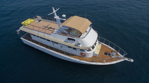 Boxing Day Cruise: Watch The Sydney To Hobart Yacht Race - New South Wales Tourism  1