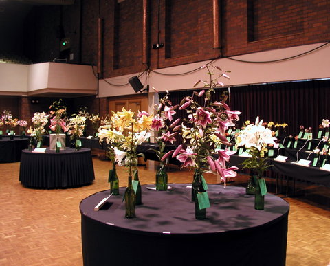 Burnie Lilium Show - New South Wales Tourism  0