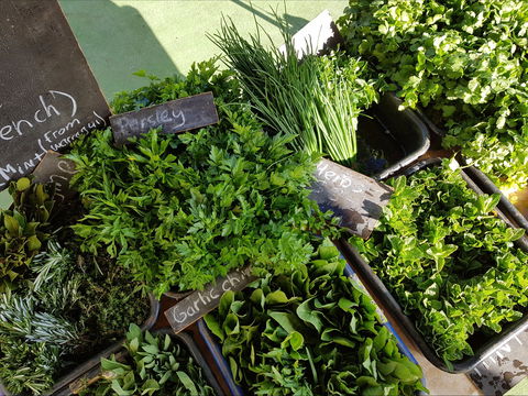 Carlton Farmers' Market - New South Wales Tourism  2