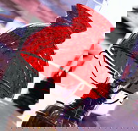 Collectable Sundays - Bus Depot Markets - New South Wales Tourism 