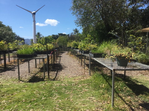 Conservation Volunteers Australia Townsville - Ocean View Nursery - New South Wales Tourism  0