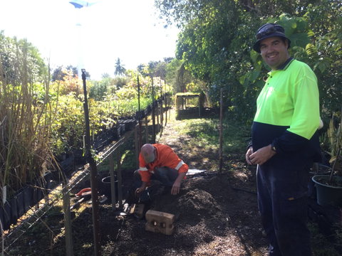 Conservation Volunteers Australia Townsville - Ocean View Nursery - New South Wales Tourism  1