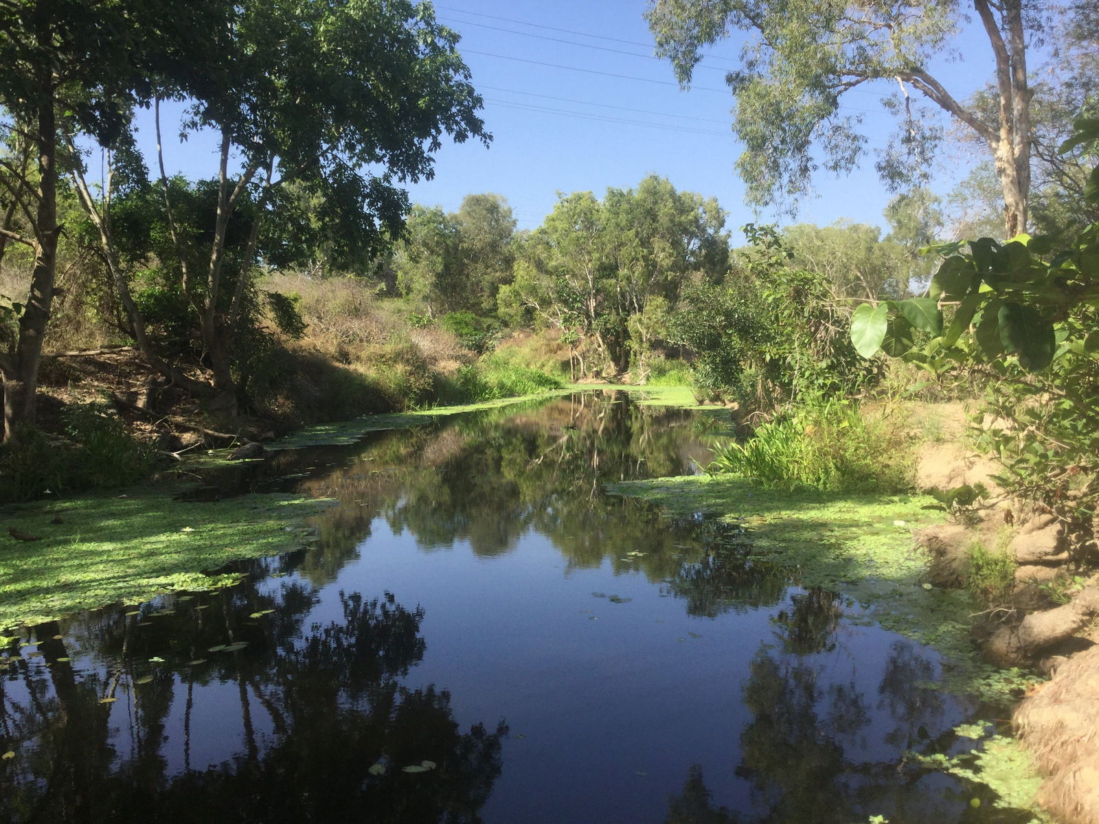 Belgian Gardens QLD New South Wales Tourism 