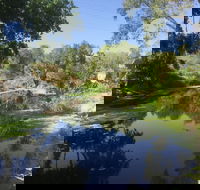 Conservation Volunteers Australia Townsville - Creekwatch - New South Wales Tourism 