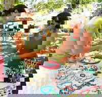 Coonabarabran Townlife Markets - New South Wales Tourism 