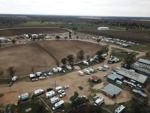 Cotton Capital Country Music Muster - New South Wales Tourism  2