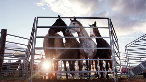 Cunnamulla Fella Festival 2020 - New South Wales Tourism  1