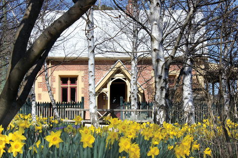 Daffodils At Rydal - New South Wales Tourism  0
