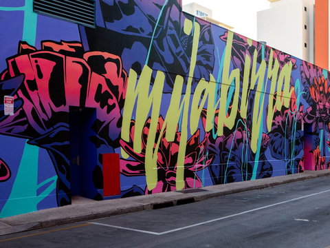 Darwin Street Art Festival - New South Wales Tourism  1